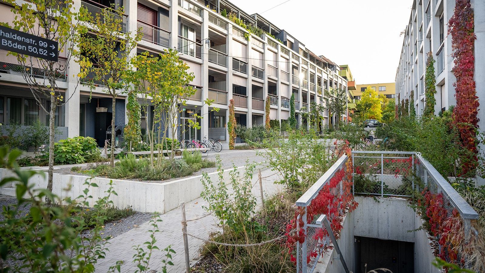 S 16 - 07 - 1600x1000.jpg