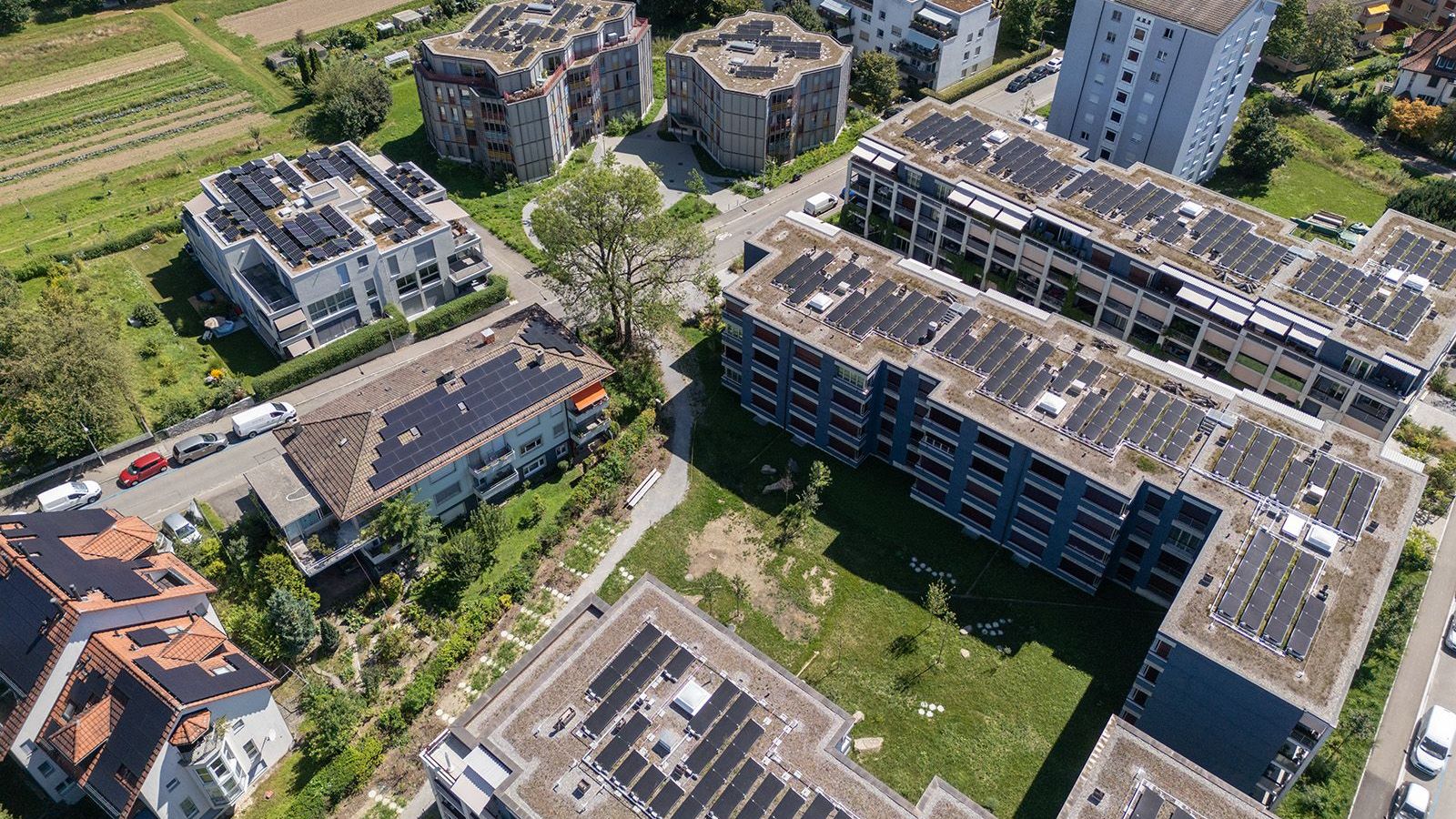 S 16 - 03 - 1600x1000.jpg